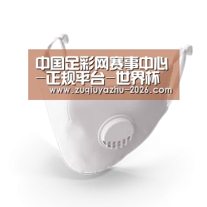 N95 口罩