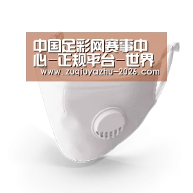 N95 口罩